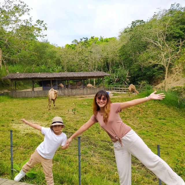 Cebu Safari and Adventure Park🏞️