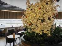 【オーストラリア・パース】ASPIRE LOUNGE☕️
