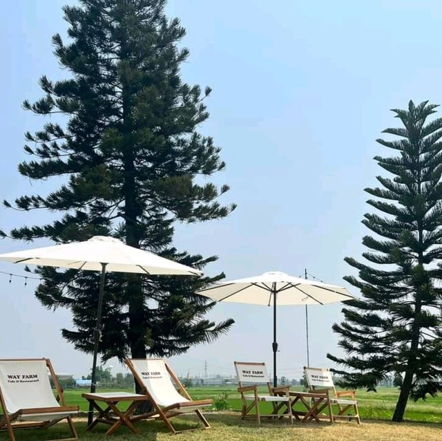 Way Farm Cafe & Restaurant  สไตล์ยุโรป