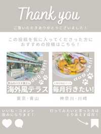【東京･竹芝】海沿いのおしゃれカフェ🕊️