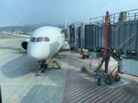 JAL JAL国際線エコノミー席でも楽々フライト！