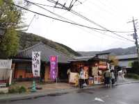 湯布院草庵秋櫻日式旅館🇯🇵♨️🏠