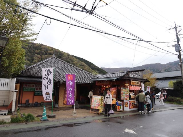 湯布院草庵秋櫻日式旅館🇯🇵♨️🏠