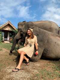 ย้อนเวลาไปเชียงใหม่ ณ 3ป๊อกรีสอร์ท🐘