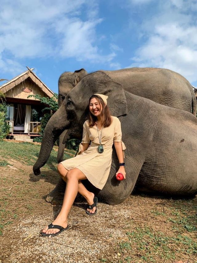 ย้อนเวลาไปเชียงใหม่ ณ 3ป๊อกรีสอร์ท🐘