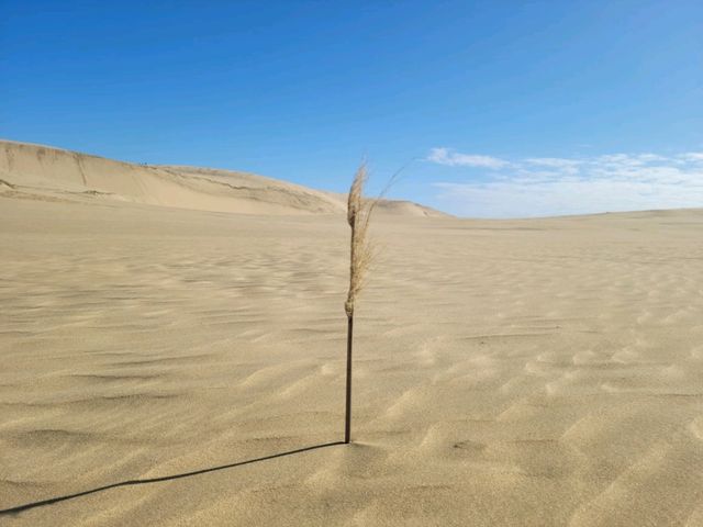 뉴질랜드에도 사막이 있는거 아셨나요?