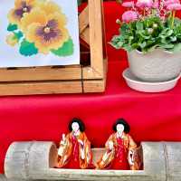 パンジーハウス🌼ひな祭り限定展示