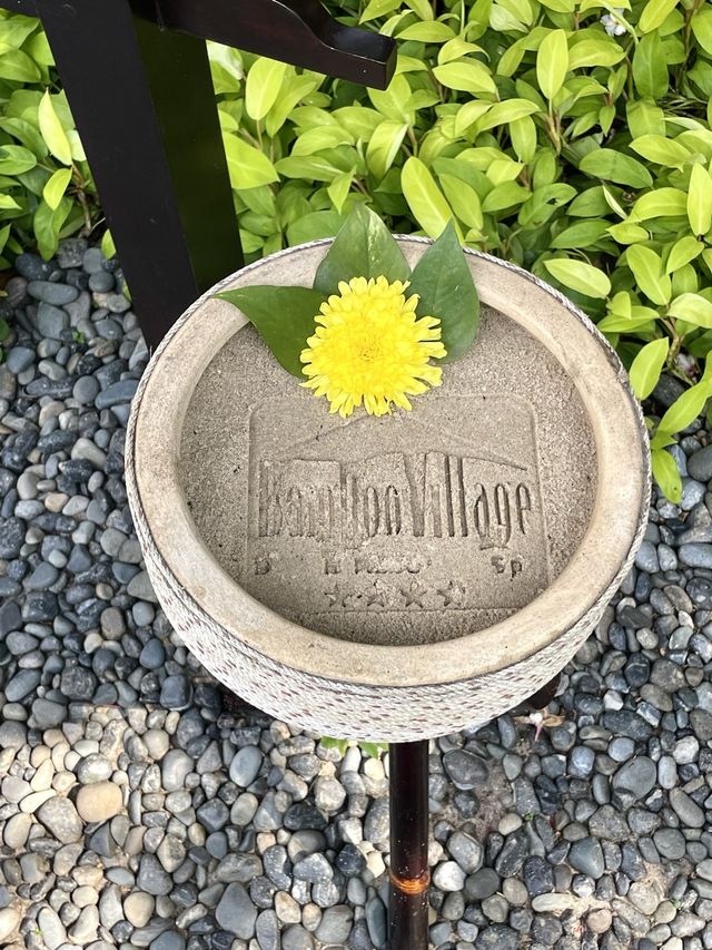 자연에 둘러싸인 조용한 무이네 호텔!