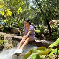 The Oasis ดิ•โอเอซิส ร้านลับใจกลางเมืองสุราษฎร์ฯ
