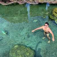 swim reef สระว่ายน้ำปะการังที่ใหญ่ที่สุดในอาเซียน