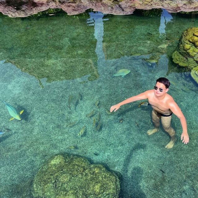 swim reef สระว่ายน้ำปะการังที่ใหญ่ที่สุดในอาเซียน