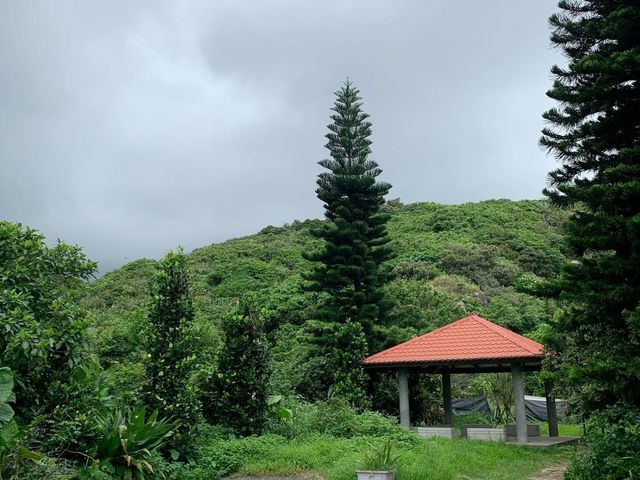 無死角的山海美景｜新北南子吝步道美景，一定要去💕