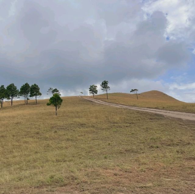 Phuong Hoang Hills