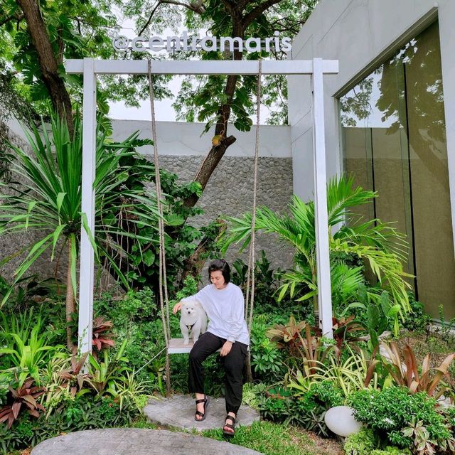 โรงแรม 4 ดาวพัทยา ราคาเบา พาน้องหมาน้องแมวมาได้!