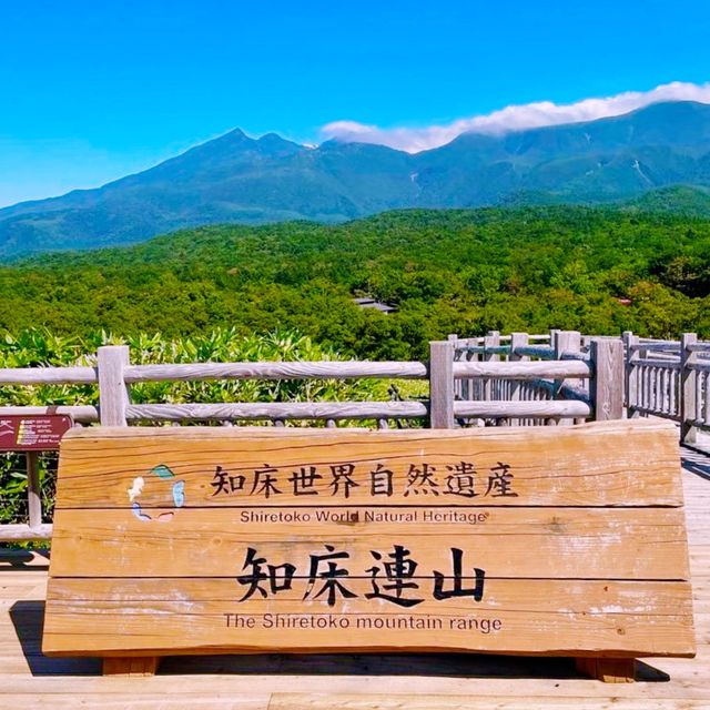 🏞️ 아름다운 자연과 식생이 보존되어 있는 일본 북쪽의 끝 시레토코 국립공원 