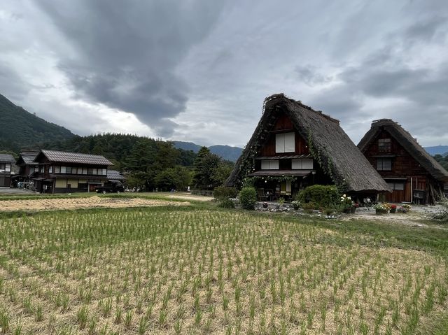 造訪世界遺產 @ 白川鄉合掌造聚落