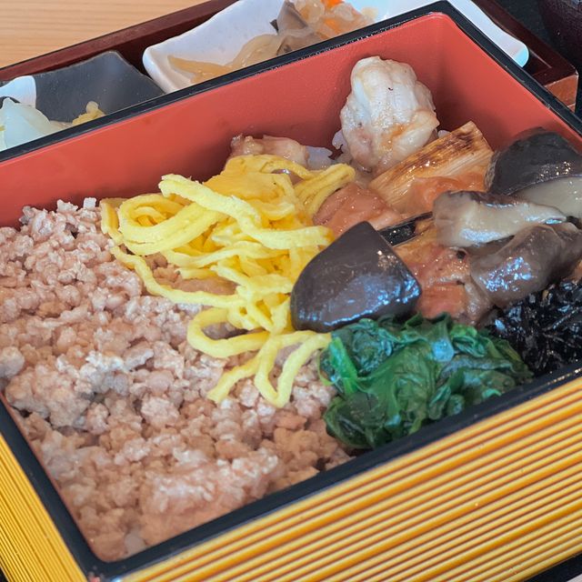 도쿄 시부야 맛집 추천😋