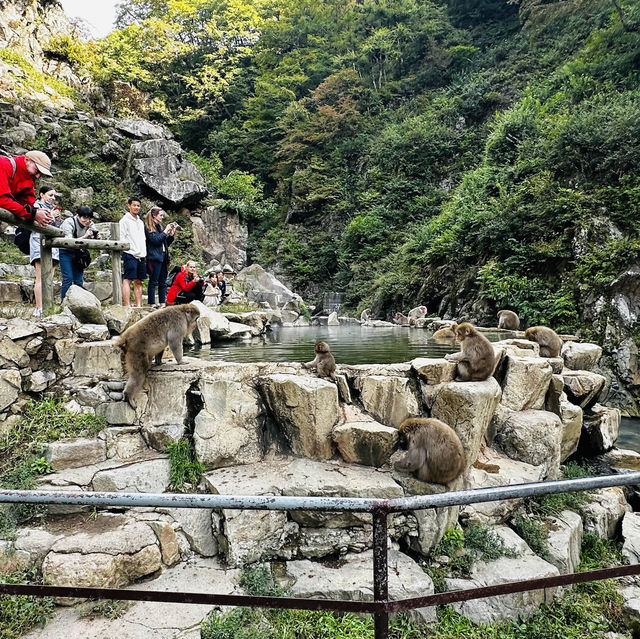 Life’s checklist - Nagano’s Snow Monkey Park