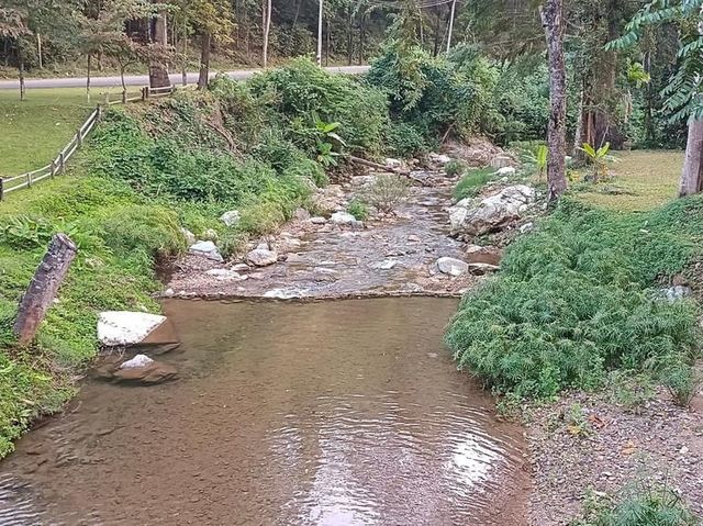 อุทยานแห่งชาติลานสาง 