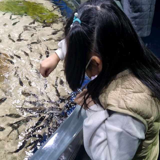🦈🐠롯데월드몰 아쿠아리움에서 물고기 먹이주기🐬🐳