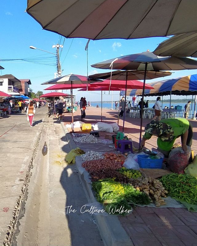 ตลาดริมโขง ดูของป่าจากฝั่งลาว ที่นครพนม 