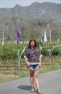 ไร่องุ่นกรานมอนเต้