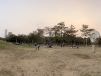 Green Lung in Downtown Kaohsiung 