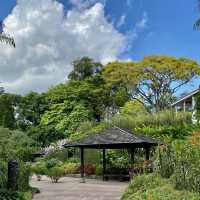 National Orchid Garden - Singapore