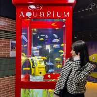 테마가 다양한 코엑스 아쿠아리움🐠🫧