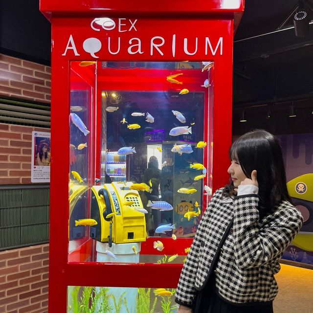 테마가 다양한 코엑스 아쿠아리움🐠🫧