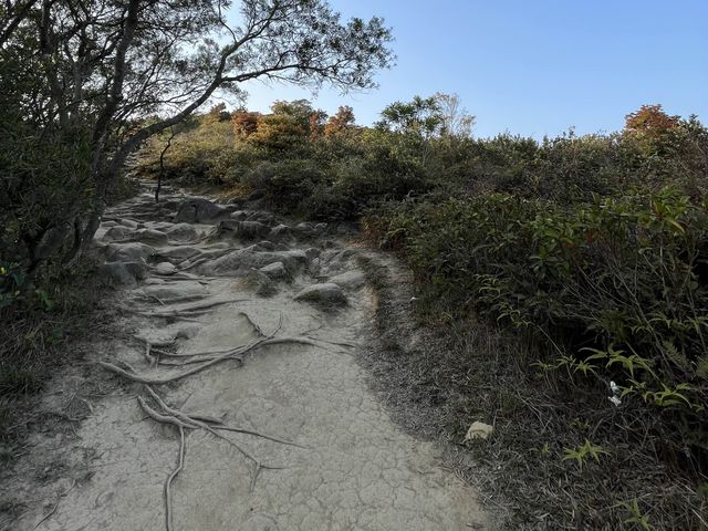 挑戰成功！由馬鞍山村出發行上昂平草原