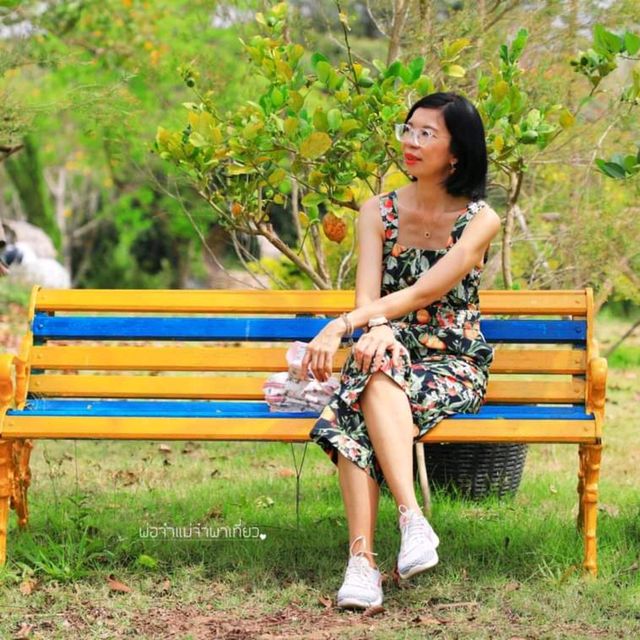 พสุธารา สวนเลมอนใกล้กรุง