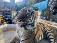 可愛い動物にたくさん会える神戸どうぶつ王国