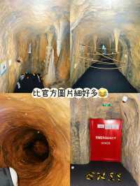 ⭐️荃灣西佔地三萬呎親子歷險攀爬樂園🤩