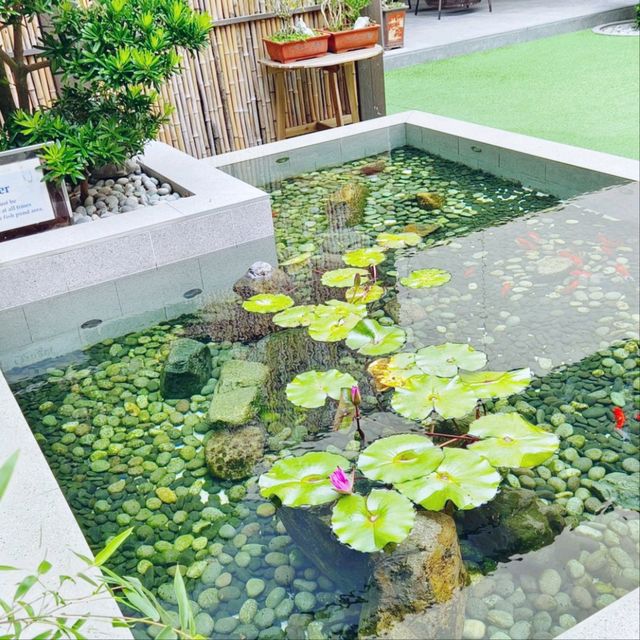 日本料理鐵板燒，加上超大，豐富打卡位的花園！