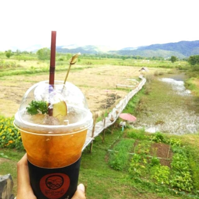 🍂คาเฟ่ ไทลื้อ 