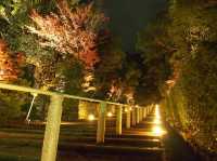 知恩院—紅葉夜之美