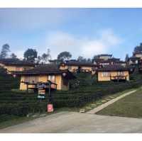 ลีไวน์ รักไทย รีสอร์ท – Lee Wine Ruk Thai Resort