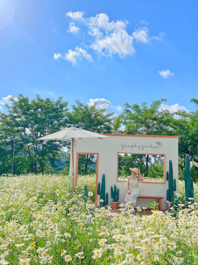 강원도 원주 사진정원🌼