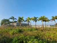 【港版邁阿密~屯赤公園🌴】