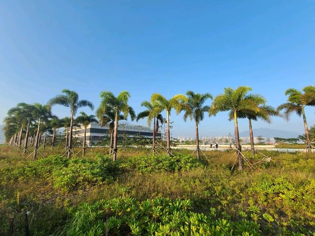 【港版邁阿密~屯赤公園🌴】