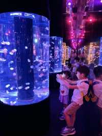 鬧市中的水母世界