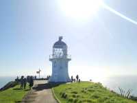뉴질랜드의 최북단 Cape Reinga