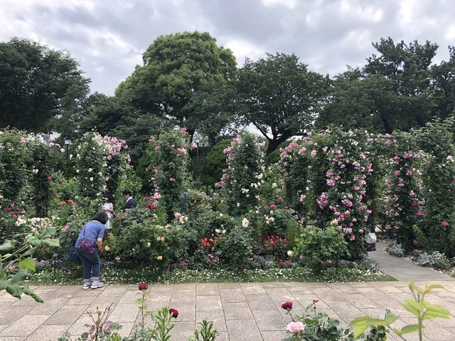 港の見える丘公園@横浜🌹