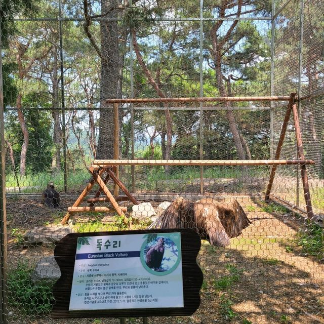 진주 진양호 동물원