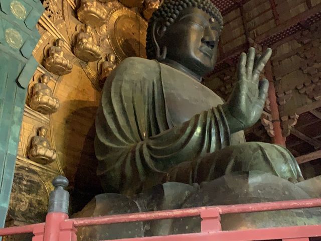 🎋奈良「東大寺」：探索古代佛教文化的代表性景點✨