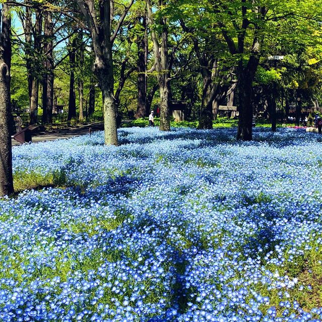 日比谷公園