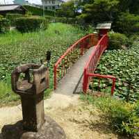 愛知旅行！桶狭間の戦いゆかりの地「弁天池」