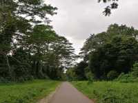 The Green Corridor Rail Hike