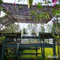 คาเฟ่กลางทุ่งนา นครนายก